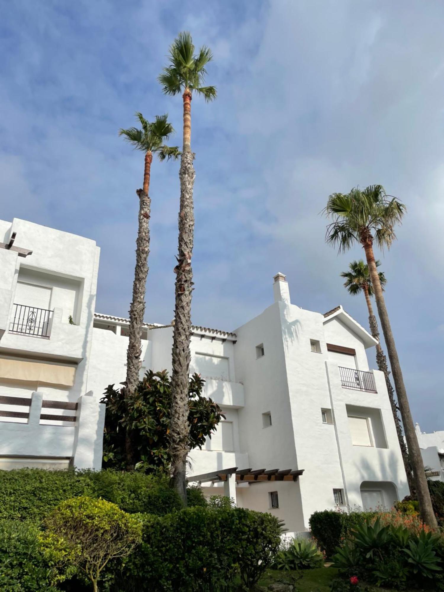 Relax&Sunset Appartement Costa Ballena Rota Luaran gambar